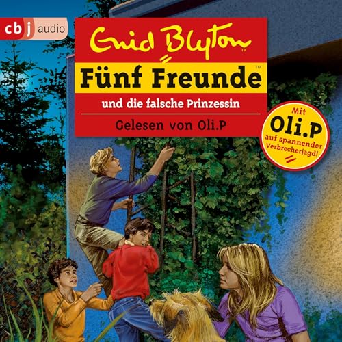 F&uuml;nf Freunde und die falsche Prinzessin cover art