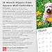 Soft Coated Wheaten Terriers | 2026 12 x 24 Inch (Hanging) Monthly Square Wall Calendar | Plastic-Free | BrownTrout | Animals Dog Breeds