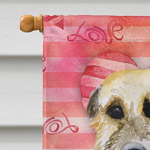Drapeau Irish Wolfhound Love Caroline's Treasures pavillon grand format pour maison - 4