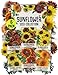 Crazy Sunflower Seed Packet Assortment (6 Individual Seed Packets) Non-GMO Seeds by Seed Needs