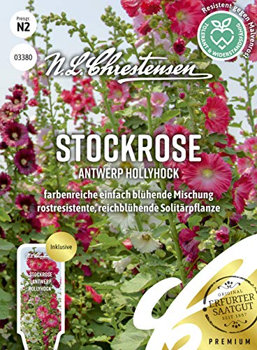 Stockrose Antwerp Hollyhock Samen, Saatgut Stockrose Antwerp Hollyhock Samen, Saatgut