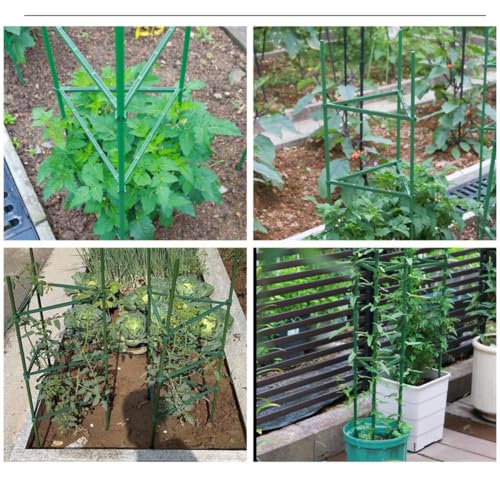 Jaula para tomates triangular 24.5x160cm enrejado para plantas 7