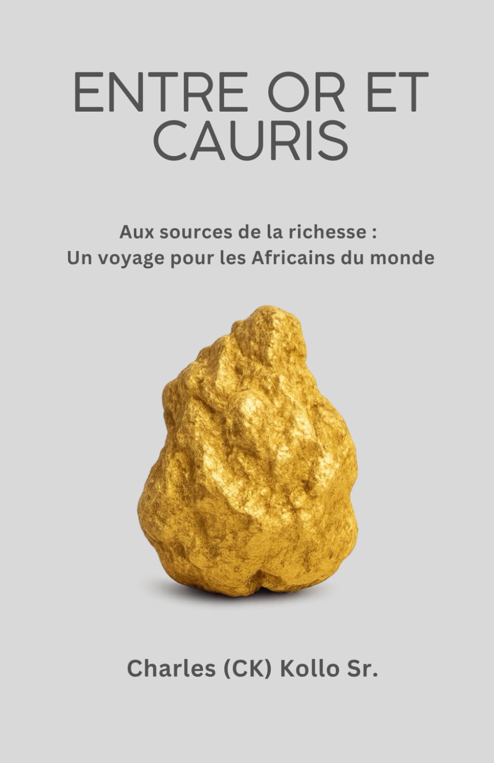 Entre Or et Cauris: Aux sources de la richesse: Un voyage pour les Africains du monde