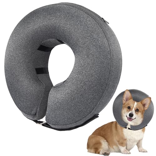 Image of Dog Cone Collar, Gray,M-1