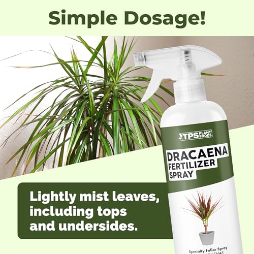 Dracaena Fertilizer Spray – Mist de 16 oz miniatura 3