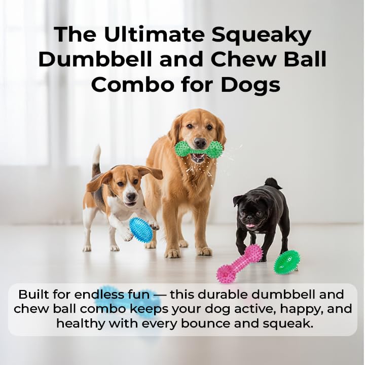 Image of Pet Squeaky Chew Toy Dumbbell for Dogs - Durable, Non-Toxic Interactive Toy for Chewing, Playing, and Teeth Cleaning-Multicolor