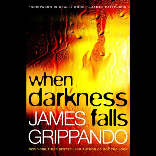 Cover art for When Darkness Falls