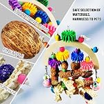 Bird Toys - Natural Corncob Wooden Mango Solid Chew Toys for Small & Medium Parrots, African Greys, Cockatiels, Lovebirds - Image 3