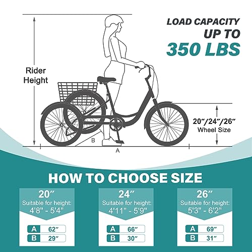 Mophoto P24-MZ-DBT9 Adult Tricycles Three Wheel Cruiser Bike 7 Speed thumb #5