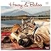 Henry & Baloo - Our Wild Tails 2020 12 x 12 Inch Monthly Square Wall Calendar, Outdoor Nature Dog Cat