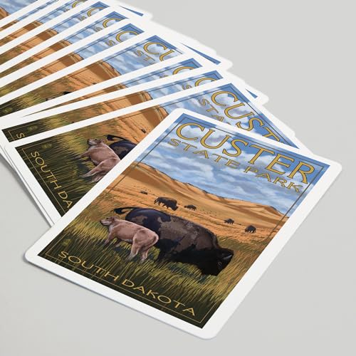 Baraja de Poker Custer Park, 52 cartas para adultos miniatura 5