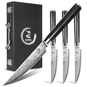 Steak knives Set of 4, Super-Sharp 5 Inch Damascus Steak Knife Set, Japanese VG10 Core Steel – Non-Serrated Steak Knives with Case