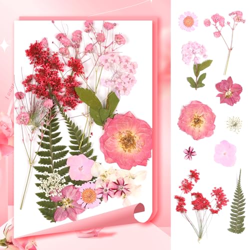 Flores prensadas secas para manualidades, estilo rosa miniatura 5