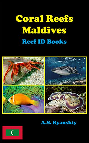 Coral Reefs Maldives Reef Id Books Ebook Ryanskiy A S Amazon Com Au Kindle Store