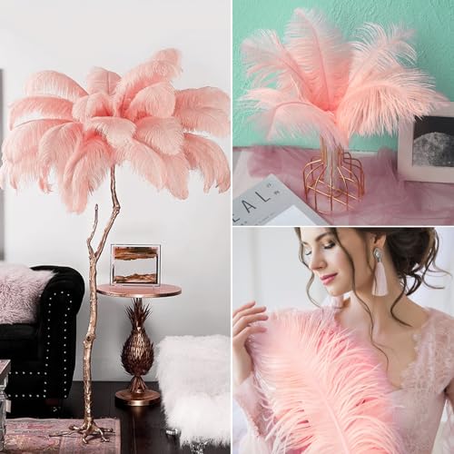image for NEWONG 30pcs Rouge Pink Ostrich Feathers Natural Bulk 9-12in（23-30cm