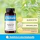 Quercetin-Komplex mit Bromelain, Citrus-Bioflavonoiden & Zink – Zellschutz & Immunfunktion, 100 Kapseln