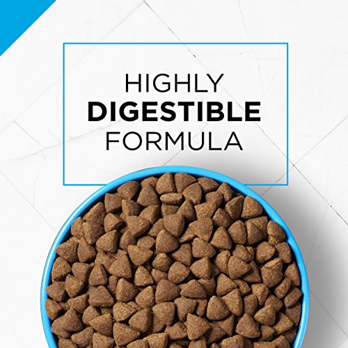 Purina Pro Plan Sensitive Skin & Stomach, High Protein Adult Dry Dog