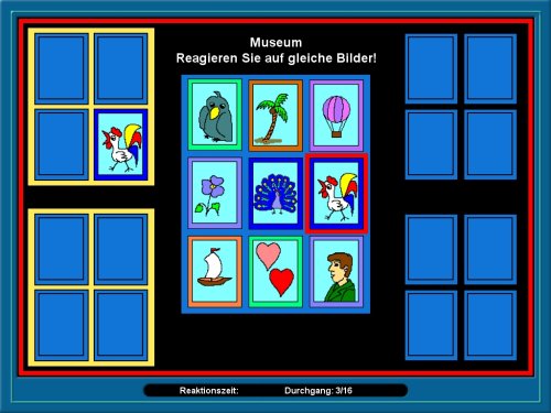 Wahrnehmung - Schlaganfall, Schädel-Hirn-Trauma (SHT) und Gehirn-OP - Reha-Softwaretraining zur Verbesserung der visuellen Wahrnehmung und des Gesichtsfeldes von Petra Rigling