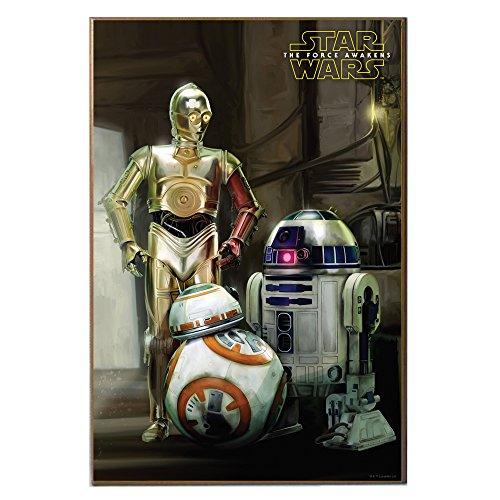 Silver Buffalo SE0836 Disney Star Wars Ep7 The Droids Wood Wall Art, 13 x 19 inches