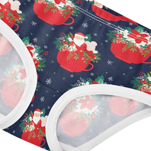 Girls' Underwear Christmas Santa Claus Flowers Floral Glass Blue Toddle Brief Panties 23035724