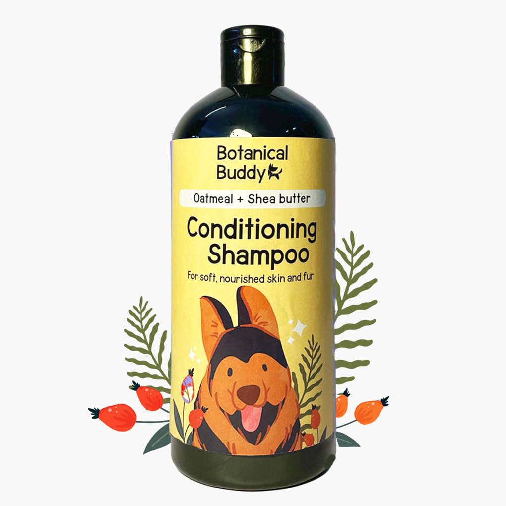 Botanical Buddy Conditioning Dog Shampoo, 200ML - with Oatmeal & Shea Butter, Good for Sensitive & Dry Skin Types (B0C3MSYZ3Z) Amazon Price History, Amazon Price Tracker
