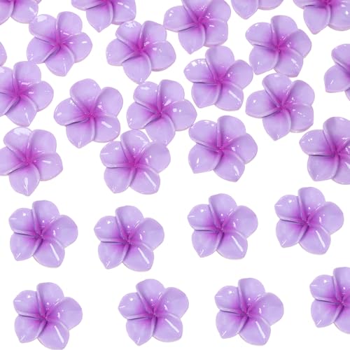 Tupalizy vAt[J{V tbgobN`[ nCt[fR[V tWpj t[{^r[Y WG[ WNP[X XNbvubN DIY Ntg T}[p[eB[p (p[v)