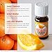 Healing Solutions Oils - 0.33 oz Sweet Orange Essential Oils, Undiluted, Pure Orange Essential Oil for Diffuser - 10ml