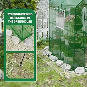 56×56×78Inch Walk-in Greenhouse, Heavy Duty Small Plant House with Thicken PE Cover and Steel Frame, for Garden, Outdoors, Indoors, Green 565678Inch Walk in Greenhouse Heavy Duty Small Plant House with Thicken PE Cover and Steel Frame for Garden Outdoors Indoors Green