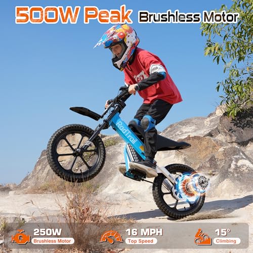Acecruisers 36V Peak 500W Brushless Electric Dirt Bike for Kids, Up to 16 MPH & 16 Miles Long-Range, Dual Suspension, Pneumatic Tires, Disc Brake, Kids Electric Dirt Bike Ages 5+, Blue