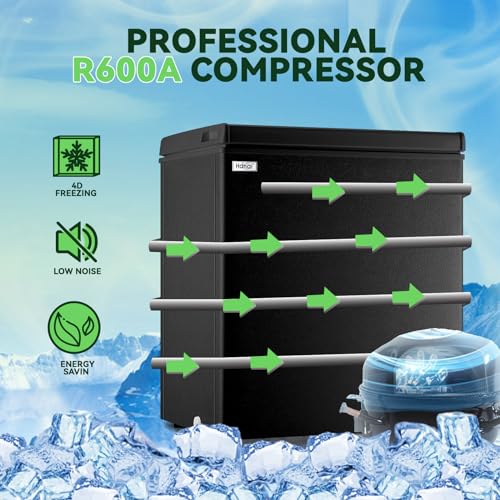 Walk-in freezer cold storage large