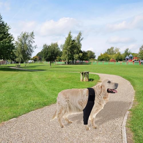 SHENGYIG XL Leckschutz für Hunde-Verstellbare Hundebandage Hinterbein (Schwarz)-Kniebandage für Hunde mit Beinschutz-Unterstützt Vorde-& Hinterbeine-Ideal bei Inkontinenz, Wunden & Gelenkproblemen