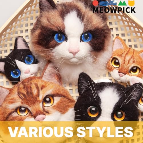 Image of MeowPick Needle Felting Kit with Cat Head Mold, Animals Needle Felting Set, DIY Wool Felt Materials Set with Felting Tool and Instruction for Quick Needle Felting Craft (Dragon Li)
