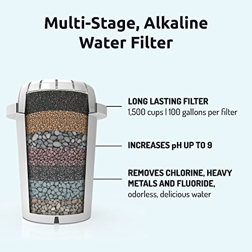 Image of Invigorated Water PH001 Alkaline Water Filter Replacement for Pitchers & Dispensers, BPA-Free, Reduces Chlorine, Copper & Heavy Metals, Raises pH, 96 Gallons /Filter (3-Pack, Black)
