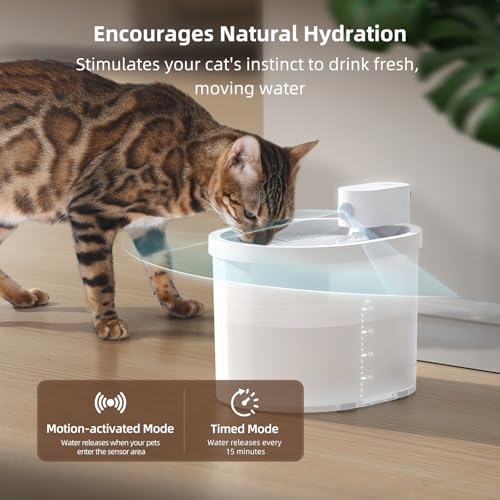 Fuente de Agua para Gatos uahpet inalámbrica con filtro miniatura 4