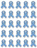 25 Pc Light Blue Awareness Enamel Ribbon Pins With Metal Clasps - 25 High Quality Pins - Show Your Support For Addison’s Disease, Grave’s Disease, Men’s Health, Prostate Cancer, Thyroid Disease