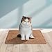 LSAIFATER Cat Scratching Mat, Natural Sisal Mat, Scratch Furniture Protector, Horizontal Floor Scratching Pad Rug, Protect Carpets and Sofas (11.8x14.9 inch, Brown)