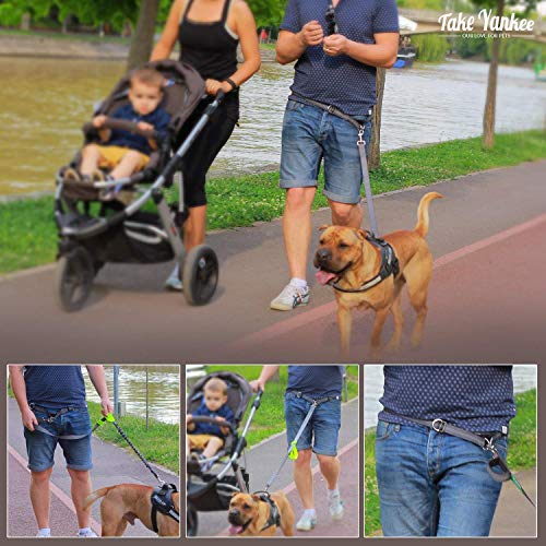 Hands Free Bungee Leash + Dual Dog Leash Coupler Kit Multifunctional + Retractable Traffic Jogging Hiking Leash & Reflective Pet Leash • Adjustable Body System + Padded Handles • Take Yankee #TOP1