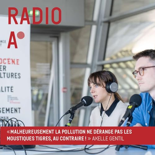 La pollution ne d&eacute;range pas les moustiques tigres, au contraire !