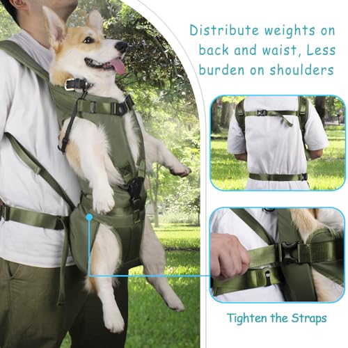PetBonus Pet Front Carrier