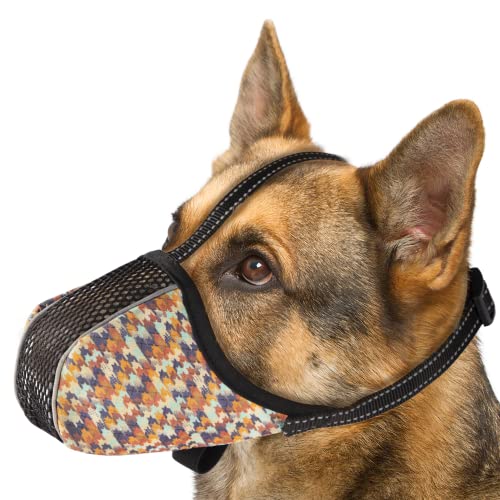 Top 10 Anti Bite Dog Muzzle of 2022 Katynel