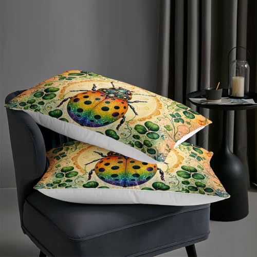 Image of AILONEN Queen Comforter Set 3 Piece, Rainbow Ladybug Clover Garden 3D Printed Bedding with 2 Pillowcases, Soft Lightweight Microfiber Nature Decor for Master Suite