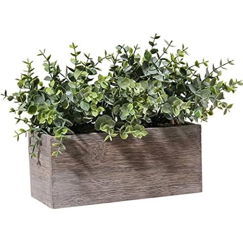 Aisamco Hojas de eucalipto Artificial en Caja de Madera Cover