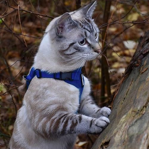 Image of Voyager Escape-Proof Step-in Lock Cat Harness & 5ft Neoprene-Handle Leash Set All-Weather Mesh with Reflective Stitching for Small to Large Cats by Best Pet Supplies, Royal Blue, XXXS