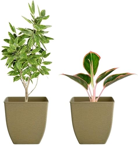 Matri Owen - Macetas con drenaje, macetas de plástico de 6 pulgadas para plantas de exterior e interior, paquete de 2 macetas de plástico, maceta de