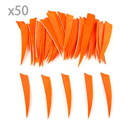VERY100 50 Stück Naturfedern Federn Shield Cut 4" RW Truthahnfedern Pfeilfedern (Orange)