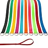 Slip Lead Dog Leash – 20 pcs Colorful 6 FT Short Dog Leashes with O-Ring for Small Large Dogs Puppy Cats Walking Training Running Rescues Grooming Shelter,etc.