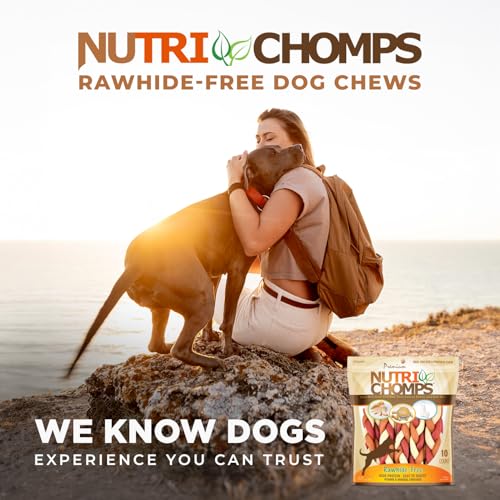 Nutri Chomps Mixed Flavors 6" Braided Dog Chews 10ct (NT055V) - High Protein, Easy To Digest, Natural Dog Treats - 0.08 Pounds