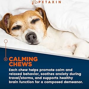   2-Pack-Petaxin-Calming-Treats-for-Dogs-Stress-Anxiety-Relief-for-Dogs-Supports-Calm-Relaxed-Behavior-Calming-Chews-for-Dogs-with-Chamomile-Ginger-More-for-Barking-Fireworks-240-Chews