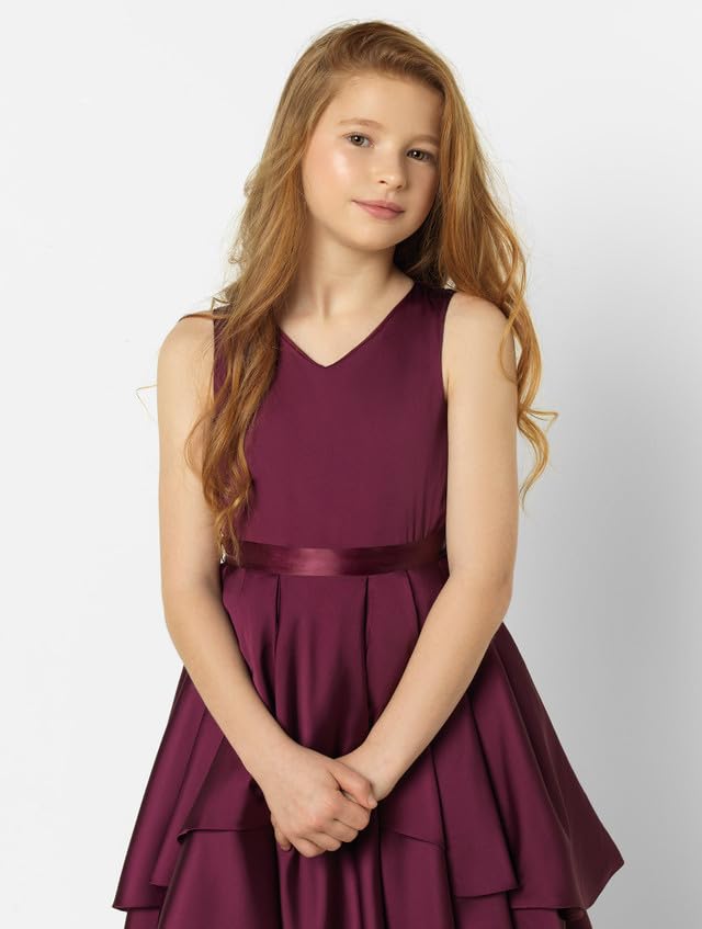 PINK WINGS Girl Satin Dress Frock (in, Age, 9 Years, 10 Years, Regular, Wine) - Image 4 thumbnail