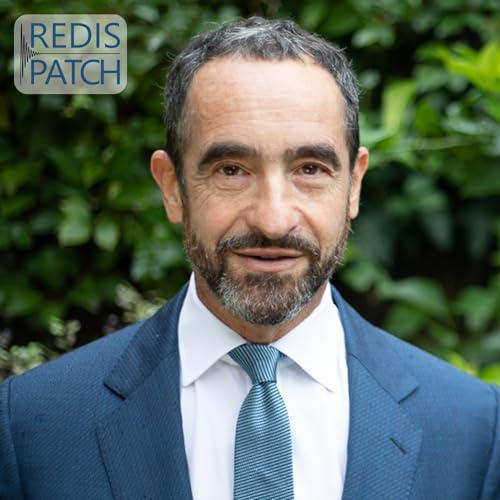 #113 Nachgehakt &ndash; The Pragmatic Climate Reset (mit Michael Liebreich)